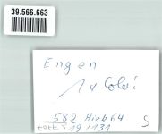 78234 W7707 Engen , Hegau FOTO KEINE AK mit Stadtkirche Mariä Himmelfahrt Ort handschriftlich