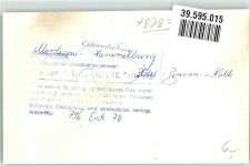 97762 W8783 Morlesau , Unterfr FOTO KEINE AK Hotel Ort handschriftlich Foto Original aus Archiv eines Ansichtskartenverlags