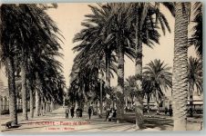 Alicante - Paseo de Gomitz