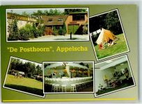8426 Appelscha Foto AK Gasthaus Camping de Posthoorn
