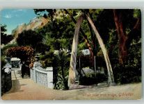 Gibraltar Eine Brücke mit einem Bogen aus Walknochen Verlag Benzaquen & Co. Wal