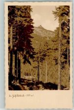 Heufuderbaude Foto AK Hüttenstempel