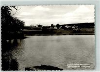 56244 W5419 Steinen , Westerw Foto AK Birkenweiher Westerwälder Seenplatte