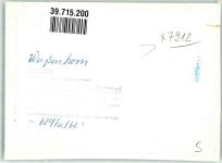 89264 W7912 Weißenhorn FOTO KEINE AK VW-Käfer Ort handschriftlich Foto Original aus Archiv eines Ansichtskartenverlags