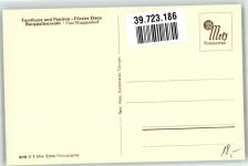 91320 W8553 Burggaillenreuth , Oberfr Foto AK Gasthaus Schlosswirtschaft
