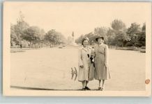 Gand Gent 1950 Foto AK Ort lt. Stempel Denkmal