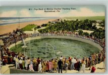 Jacksonville - Marineland Ozeanarium