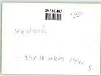 51545 W5220 Waldbröl FOTO KEINE AK Foto Original aus Archiv eines Ansichtskartenverlags