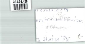 23769 W2448 Fehmarn FOTO KEINE AK Gasthaus Freizeitheim Ort handschriftlich Foto Original aus Archiv eines Ansichtskartenverlags