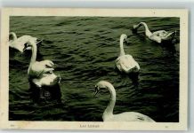 Genfer See LL Nr.520 Schwan 1923