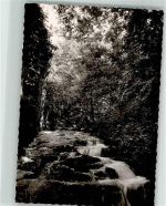 69514 W6947 Laudenbach , Bergstr FOTO KEINE AK Ort handschrtlich Foto Original aus Archiv eines Ansichtskartenverlags