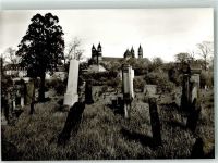 W6520 Worms Ältester Judenfriedhof Europas mit dem Dom Jüdischer Friedhof Foto AK