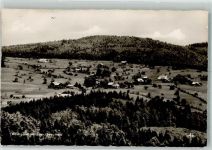 94556 W8351 Waldhäuser Foto AK Foto Ako
