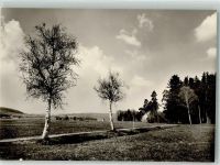 88271 W7983 Wilhelmsdorf , Württ Foto AK Riedlandschaft