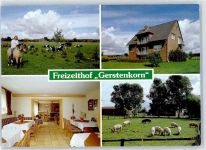 21380 W2121 Artlenburg - Freizeithof Lucie Gerstenkorn, Schwein, Pferd