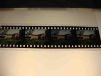 24376 W2340 Hasselberg , Ostsee KEINE AK Gasthaus und Pension Spieskamer, Dia