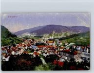 78144 W7230 Schramberg