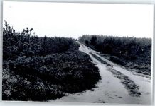21371 W2121 Tosterglope - Feldweg, Fotoabzug