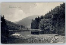 Knöpfelstaler Teich