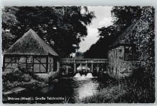 48249 W4408 Dülmen - große Teichmühle