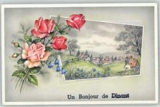 Dinant - Leporello, Rosen