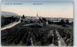 67146 W6705 Deidesheim