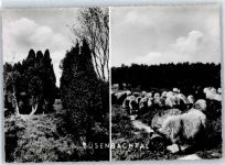 21256 W2111 Handeloh - Pension Zur Heidekrone