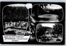 71540 W7157 Fornsbach , Württ - Waldsee Kleingolfsplatz Campingplatz