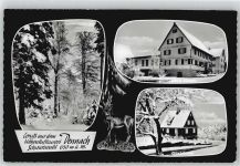 75305 W7540 Dennach Winter Gasthaus zum Hirsch