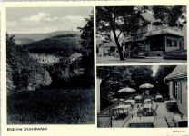 61389 W6384 Schmitten , Taunus - Cafe Schmidt Dachgarten