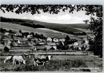 64756 W6121 Güttersbach 1965 - Kirche Kühe