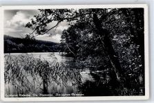16356 O1311 Tiefensee b Bad Freienwalde - Blumental Gamensee