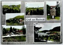79859 W7826 Blasiwald