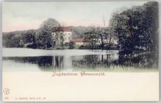 10115 W1000 Grunewald Lithographie Jagdschloss