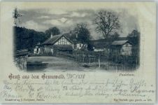 10115 W1000 Grunewald 1898 - Paulsborn Mondschein-AK