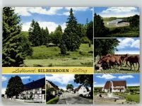 37603 W3450 Silberborn