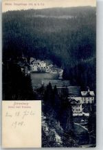 Bärenburg - 1908 Hotel Pension