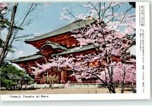 Nara - Tempel