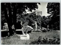 08223 O9704 Falkenstein , Vogtl - Schlossfelsen Tiergarten Vogtland Brunnen