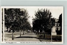 Adelaide - Tree Lined Boulevard North Terrace The Rose Series P. 9411