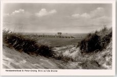 25826 W2252 Sankt Peter-Ording - Blick Brücke