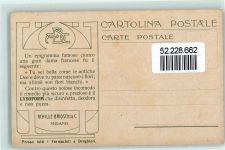 Brasilia Ganzsache Postbote Flagge
