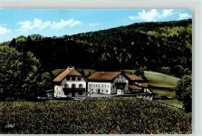 93474 W8491 Arrach , Bayerischer Wald - Gasthaus Pension Eck