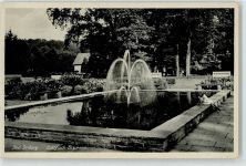 33014 W3490 Bad Driburg - Goldfisch-Brunnen