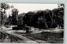 Peradeniya - Peradeniya Gardens Ornamental Walk