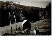75385 W7264 Zavelstein FOTO KEINE AK Wolfsschlucht Ort handschriftlich Foto Original aus Archiv eines Ansichtskartenverlags