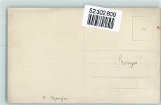 Frau Emailleschild Klavier Papagei Privatfoto AK