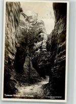 Tisá Tissa 1929 Foto AK Tyssaer Wände Der Elefant