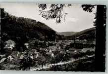75339 W7545 Höfen an der Enz Foto AK