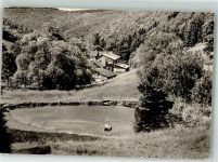 98711 O6304 Frauenwald Foto AK Gasthaus Fraubachmühle